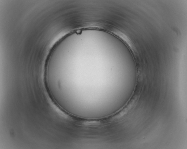 X0000113951135200910091603