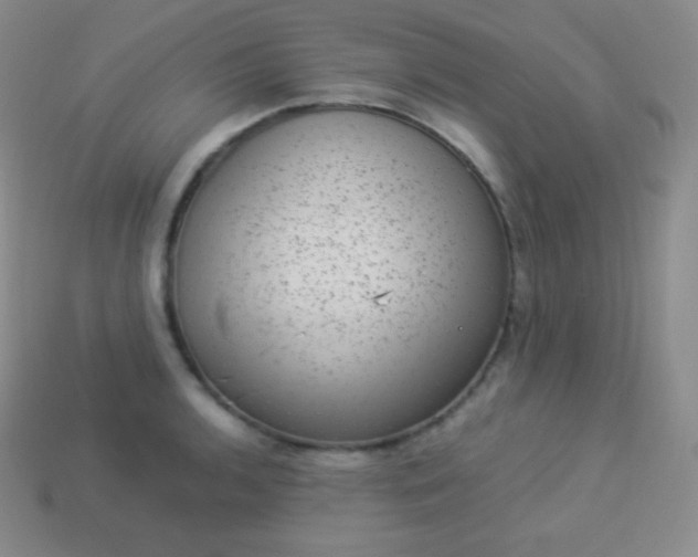 X0000113951136200910091603