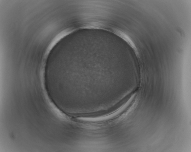 X0000113951138200910091603