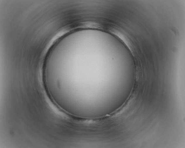X0000113951139200910091603