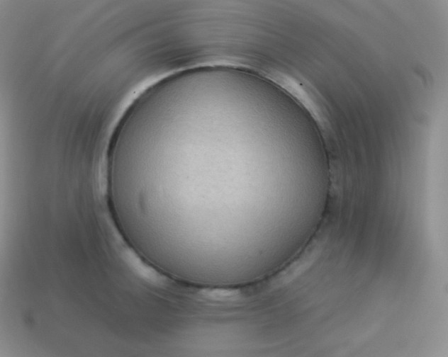 X0000113951140200910091603