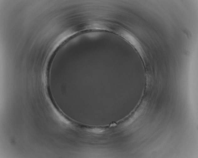 X0000113951141200910091603