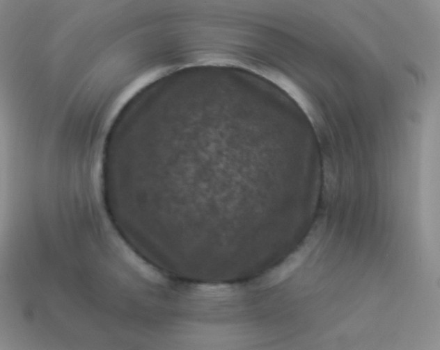 X0000113951142200910091603
