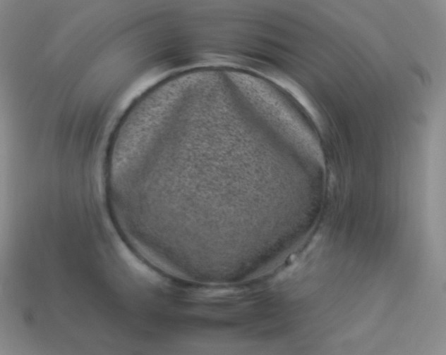 X0000113951143200910091603