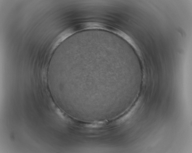 X0000113951145200910091603
