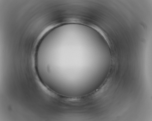 X0000113951147200910091603