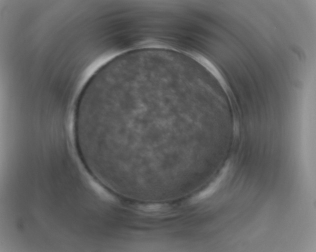 X0000113951149200910091603