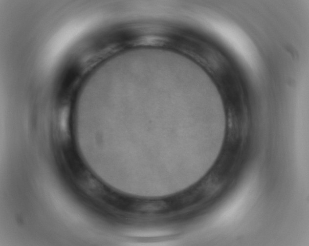 X0000113951150200910091603