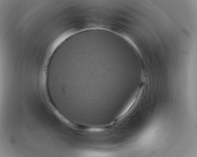X0000113951151200910091603
