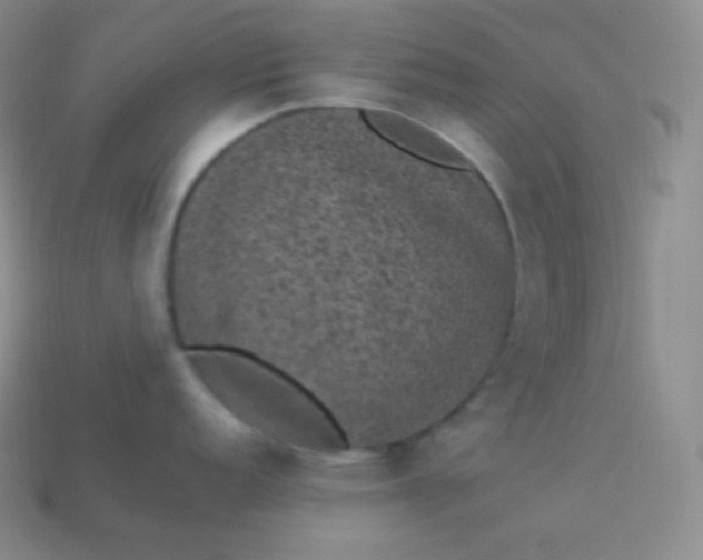 X0000113951152200910091603