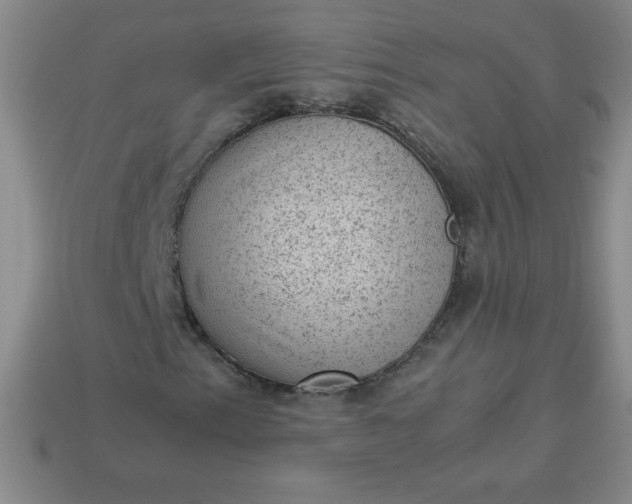 X0000113951153200910091602