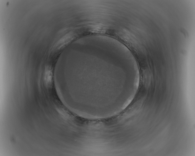 X0000113951154200910091602