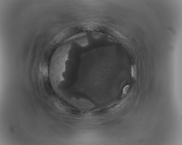 X0000113951155200910091602