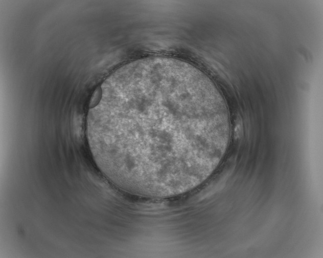 X0000113951156200910091602