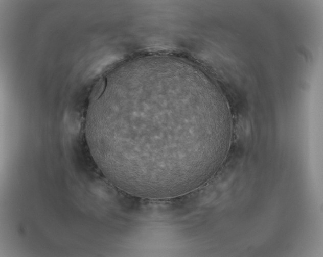 X0000113951157200910091602