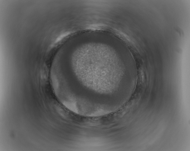 X0000113951158200910091602