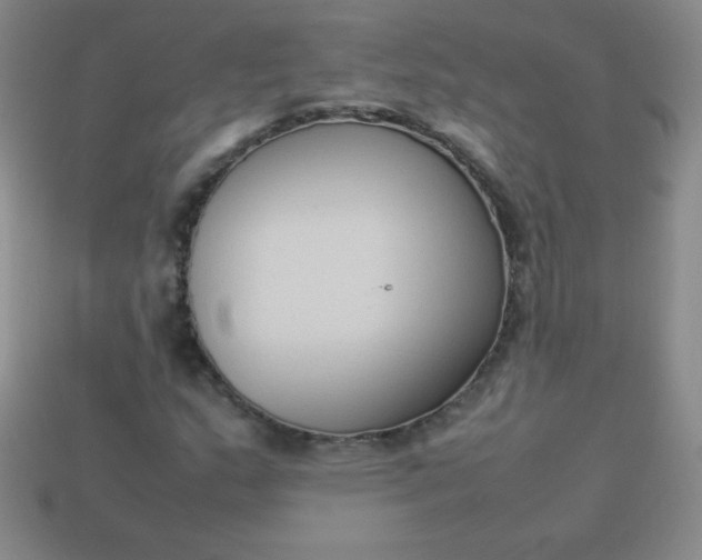 X0000113951159200910091602