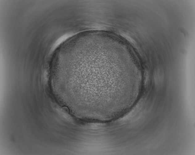X0000113951163200910091602