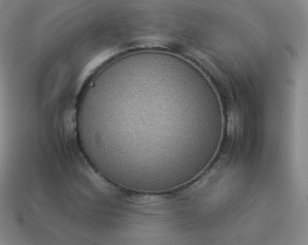 X0000113951164200910091602