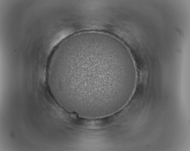 X0000113951165200910091602
