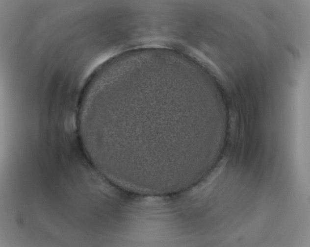 X0000113951166200910091602