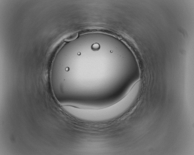 X0000113951167200910091602