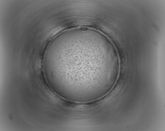 X0000113951169200910091602