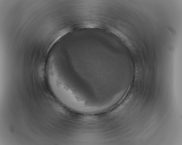 X0000113951170200910091602