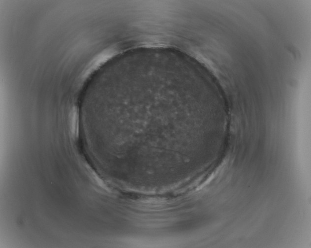 X0000113951171200910091602