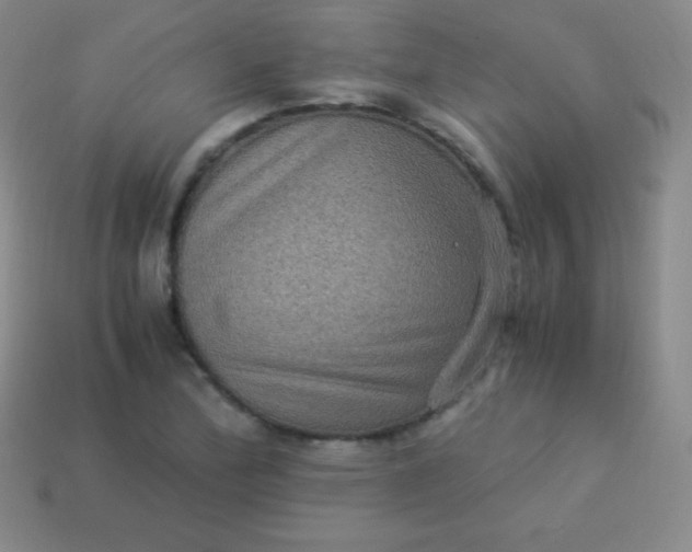 X0000113951172200910091602