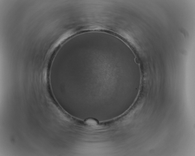 X0000113951173200910091602