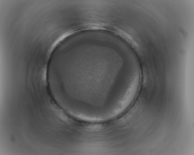 X0000113951174200910091602