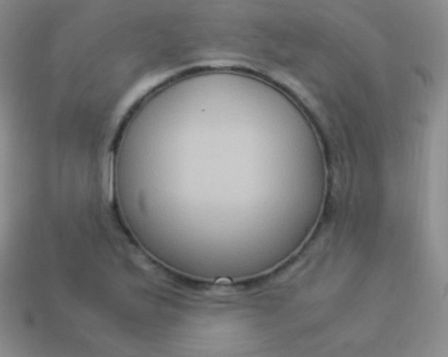 X0000113951175200910091602