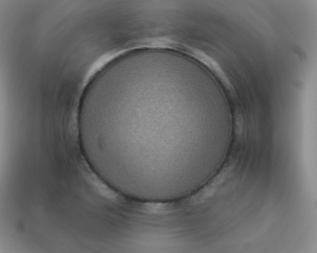 X0000113951176200910091602