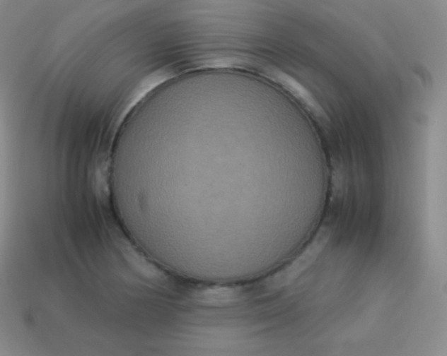 X0000113951178200910091602