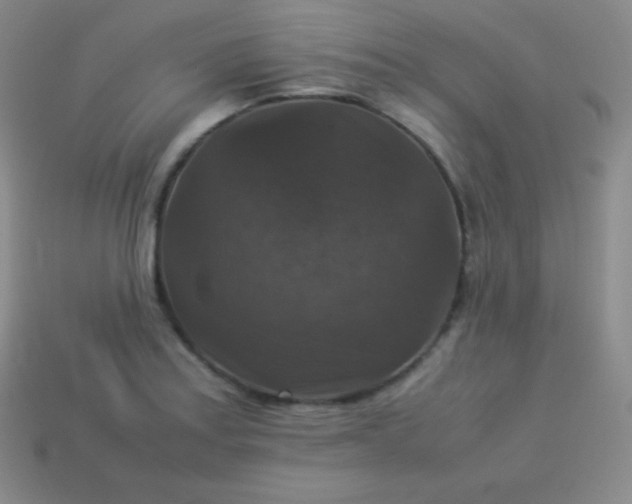 X0000113951179200910091602