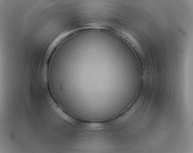 X0000113951180200910091602