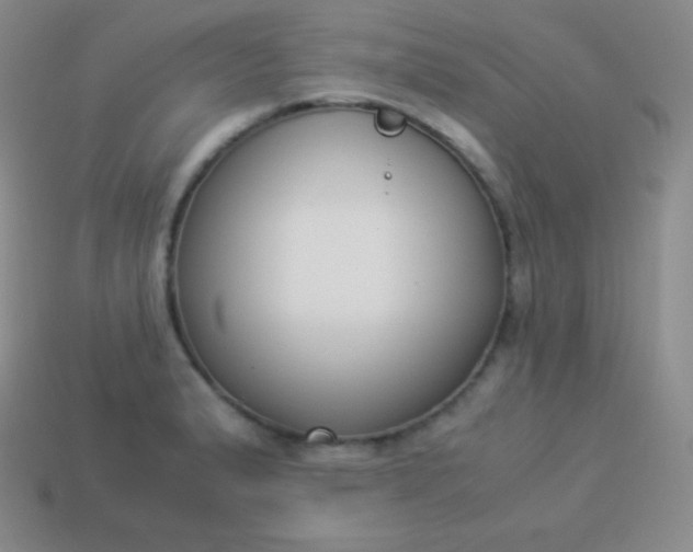X0000113951183200910091602