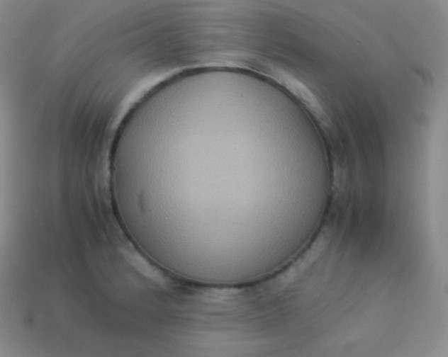 X0000113951184200910091602