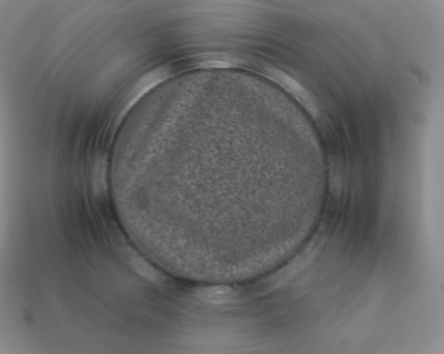 X0000113951186200910091602