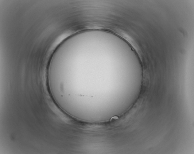 X0000113951187200910091602