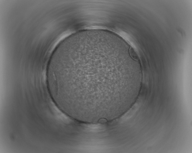 X0000113951189200910091602