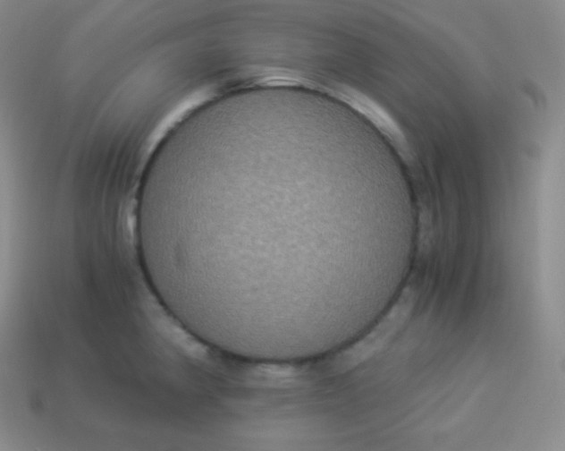 X0000113951190200910091602