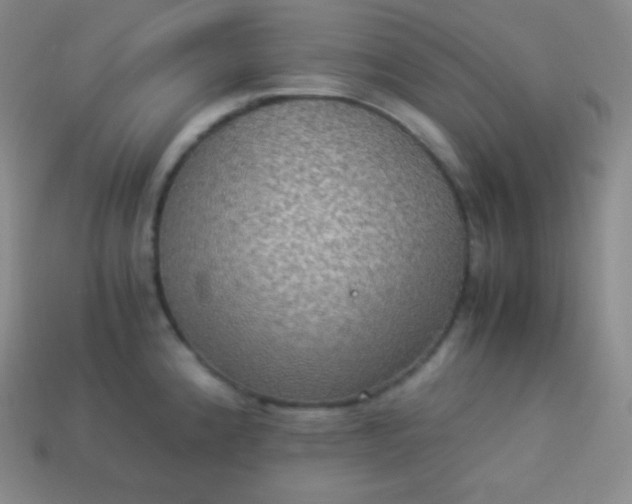 X0000113951192200910091602