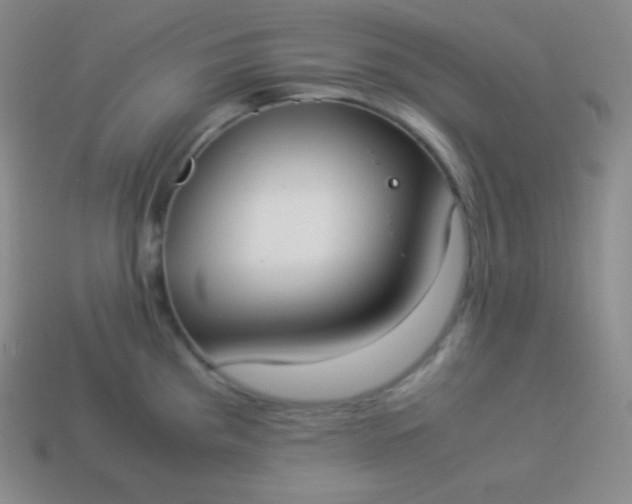 X0000113951193200910091602