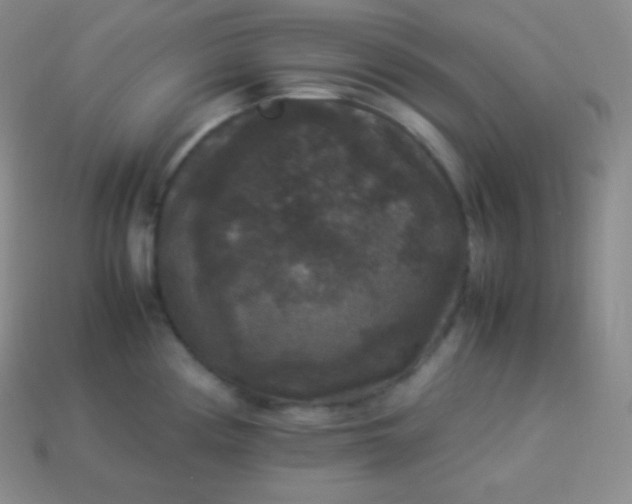 X0000113951194200910091602
