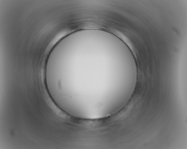 X0000113951195200910091602
