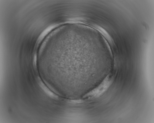 X0000113951196200910091602