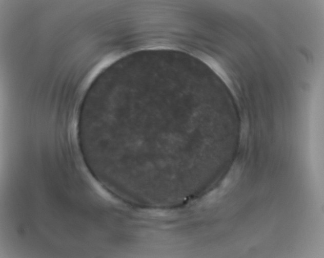 X0000113951197200910091602
