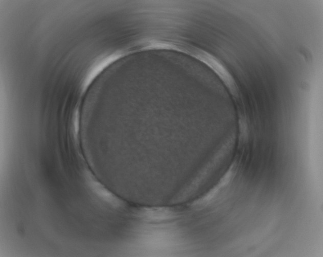 X0000113951198200910091602